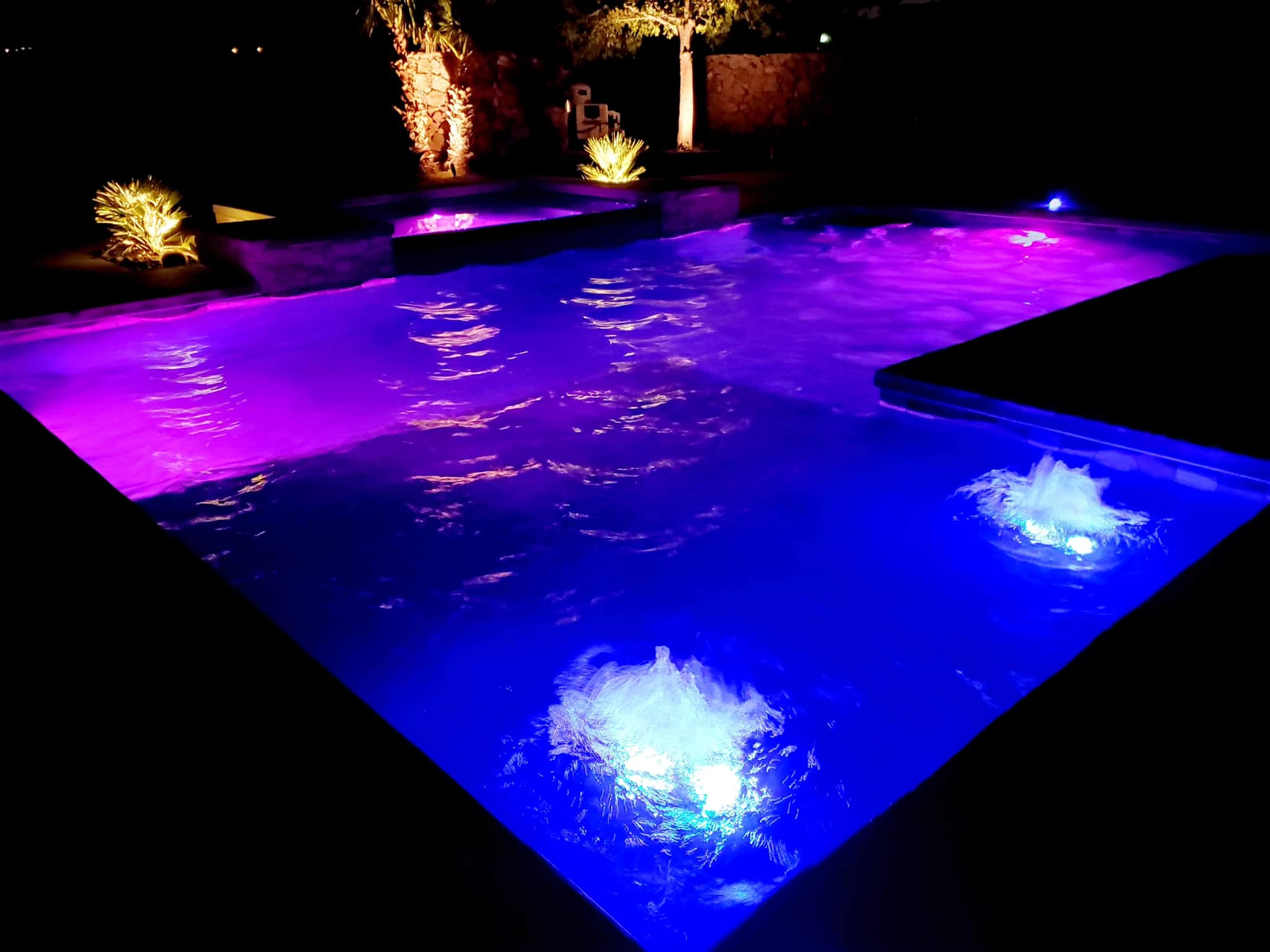 Pizarro Pools Custom Project